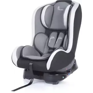 CarSeat