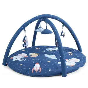 Activity Play Gym